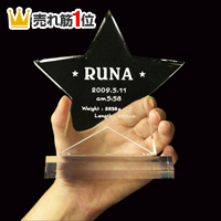 受賞記念楯