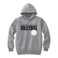 VOLLEYBALL