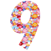 No.9