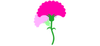 カーネーション03