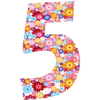 No.5