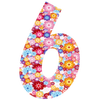 No.6