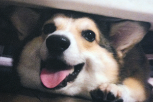 写真もこの通りなめらかに印刷!