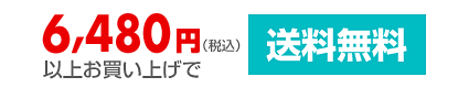 合計金額6,480円(税込)以上で送料無料となります。