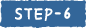 STEP-6