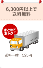 6,300円以上で送料無料