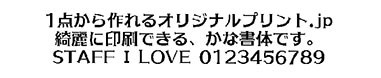 セリフゴシックRE