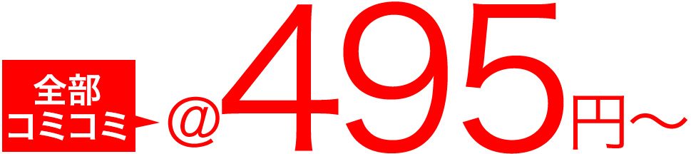 全部コミコミ。しかも495円~