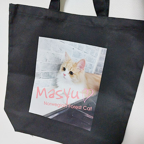 レビュー投稿画像