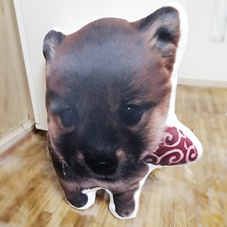レビュー投稿画像