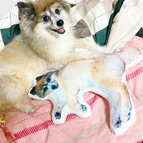 レビュー投稿画像