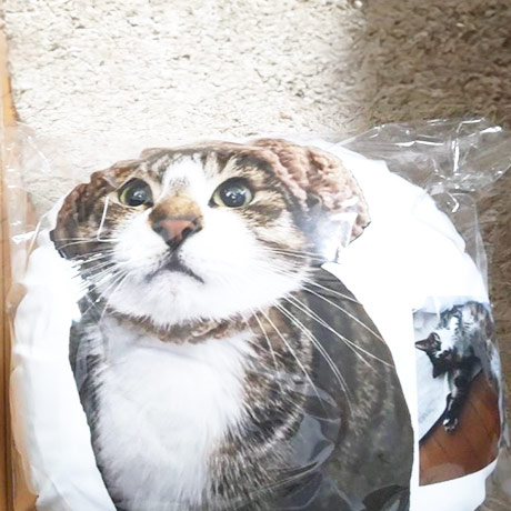 レビュー投稿画像