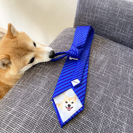 レビュー投稿画像