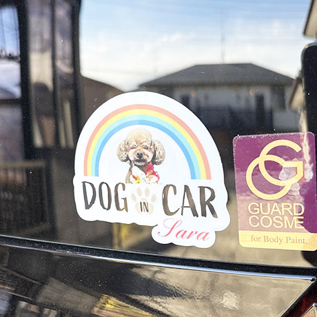 レビュー投稿画像