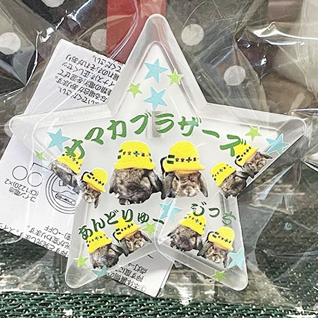 レビュー投稿画像