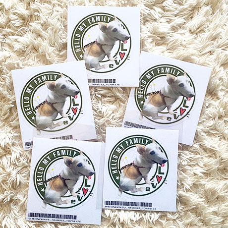 レビュー投稿画像