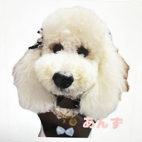 レビュー投稿画像