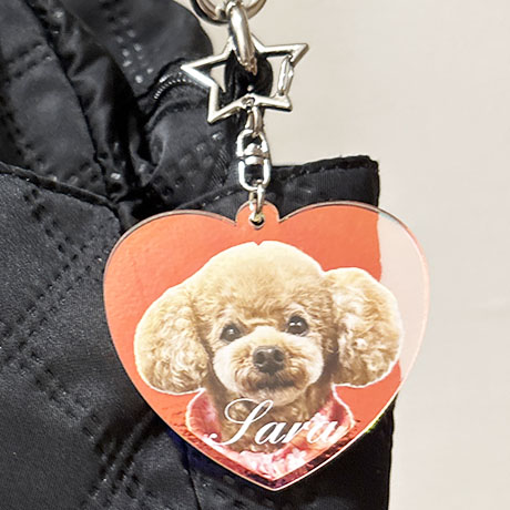 レビュー投稿画像