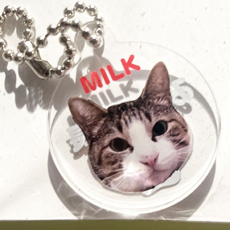 レビュー投稿画像