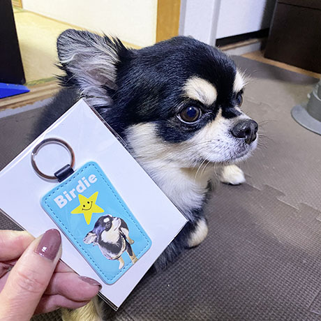 レビュー投稿画像