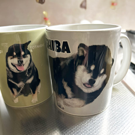 レビュー投稿画像