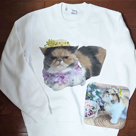 レビュー投稿画像