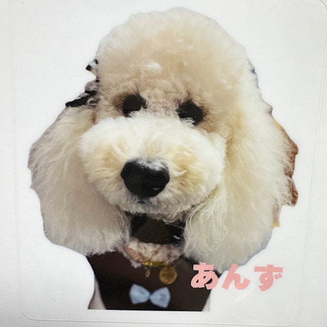 レビュー投稿画像