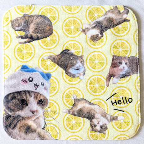 レビュー投稿画像