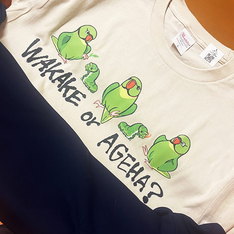 レビュー投稿画像