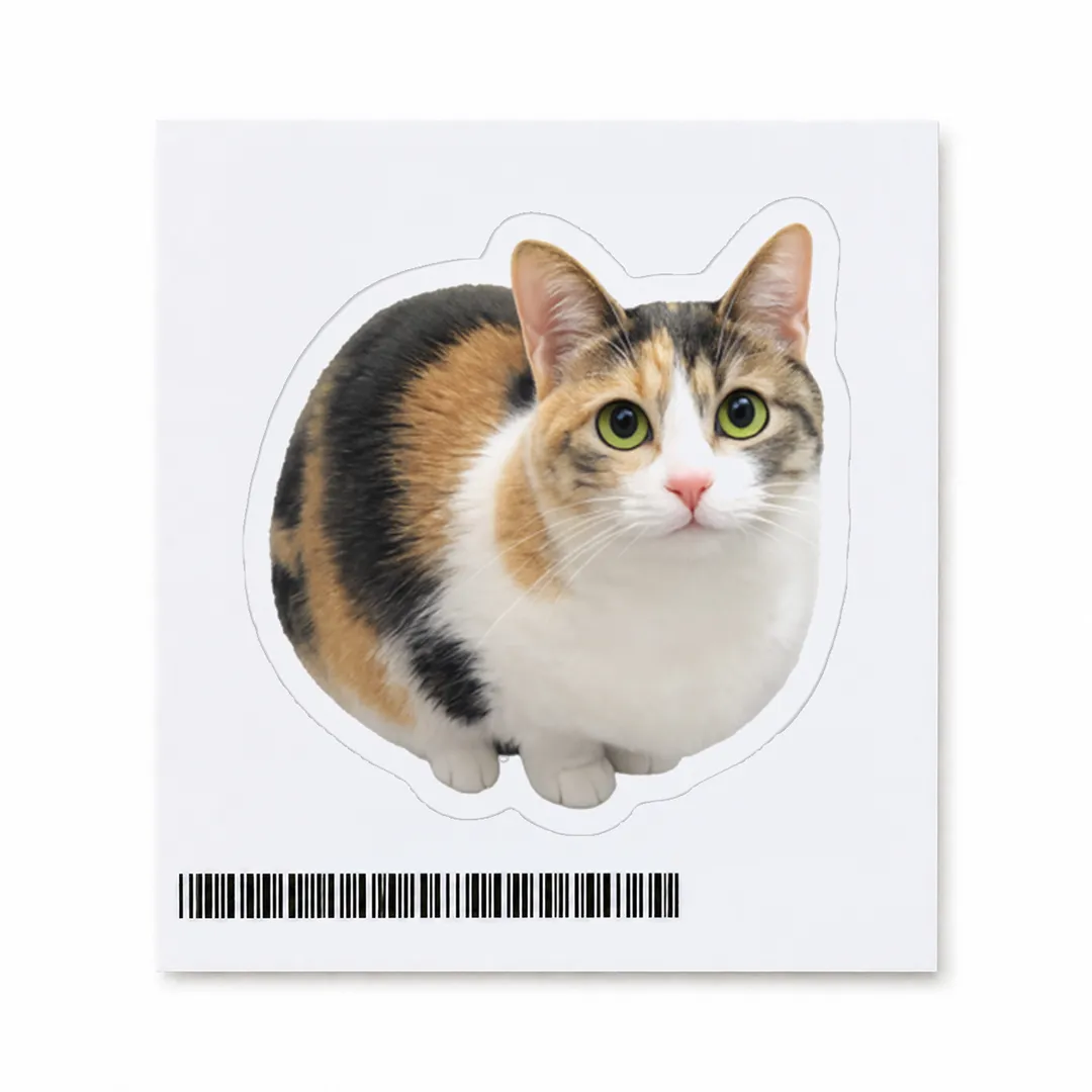 ディテール画像
