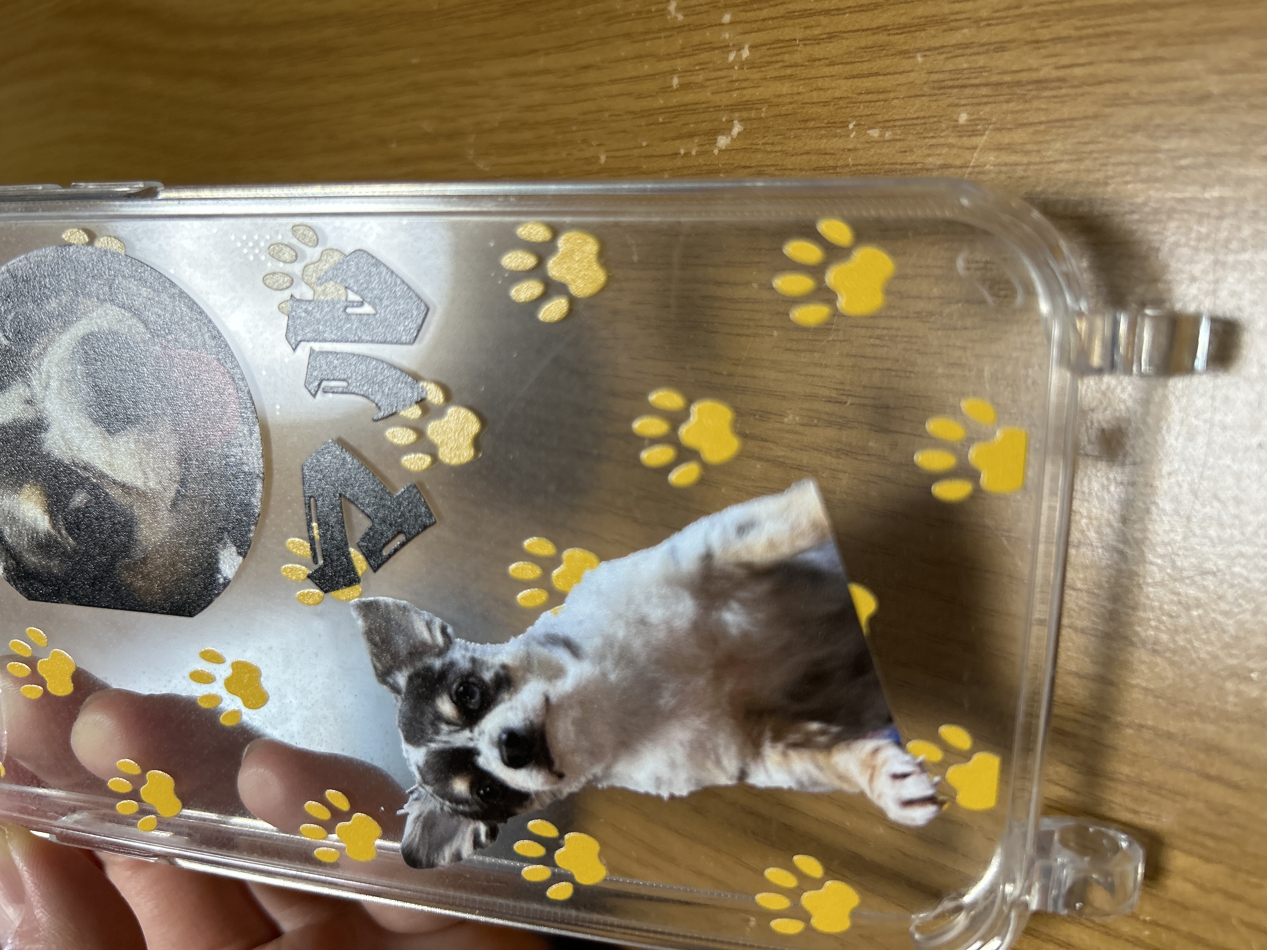 レビュー画像