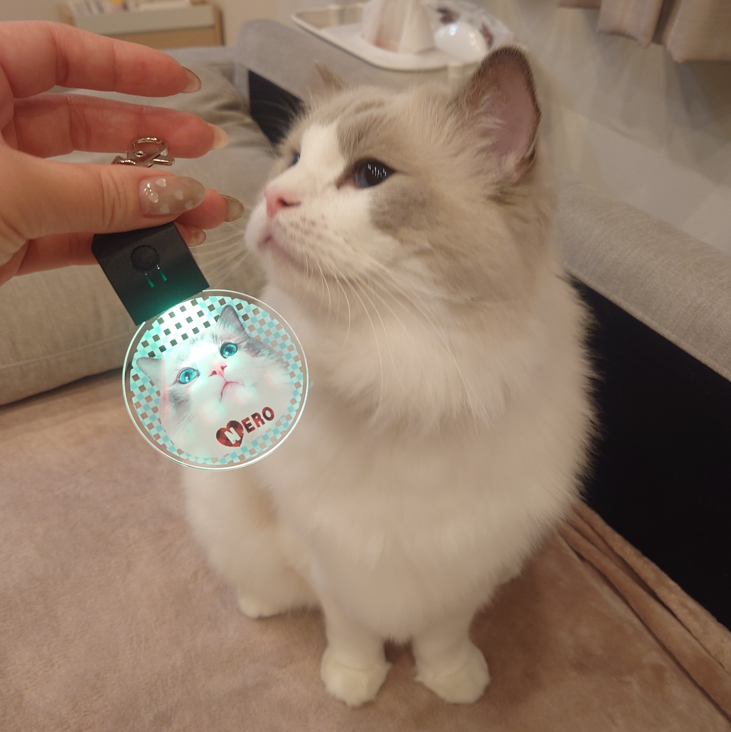 レビュー画像