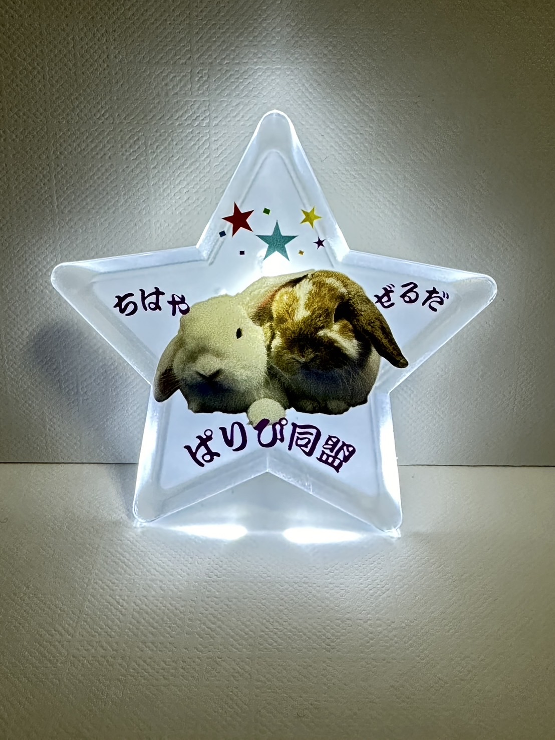 レビュー画像