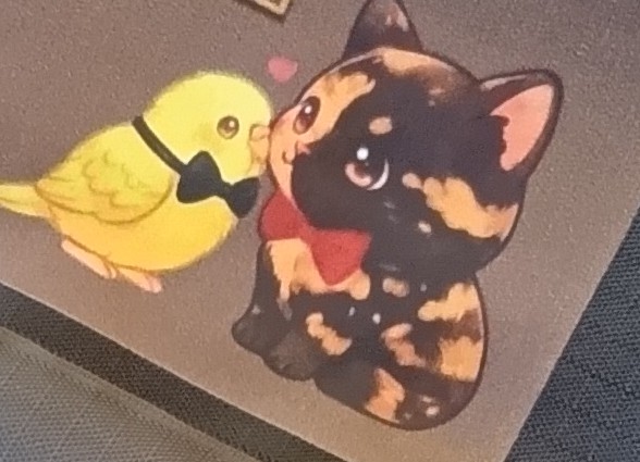 レビュー画像