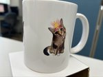 レビュー投稿画像