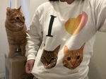 レビュー投稿画像