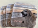 レビュー投稿画像