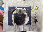 レビュー投稿画像