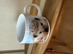 レビュー投稿画像