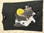 レビュー投稿画像
