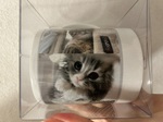 レビュー投稿画像