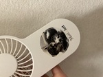 レビュー投稿画像