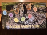 レビュー投稿画像