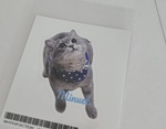 レビュー投稿画像