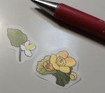 レビュー投稿画像
