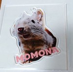 レビュー投稿画像
