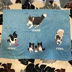 レビュー投稿画像