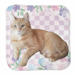 レビュー投稿画像