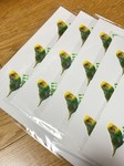 レビュー投稿画像