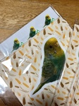 レビュー投稿画像